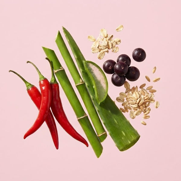 Acondicionador Nutritivo y Anti-Frizz Bioterapia Capilar