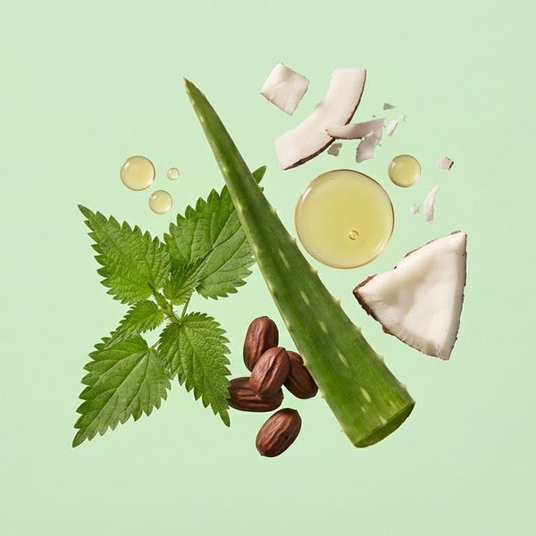 SHAMPOO DE ALOE VERA VIAJERO 100 ml