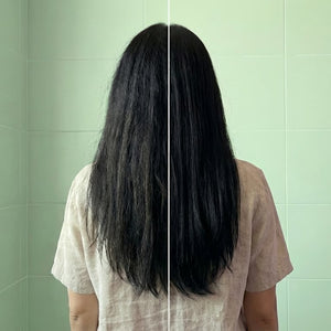 SHAMPOO DE ALOE VERA VIAJERO 100 ml