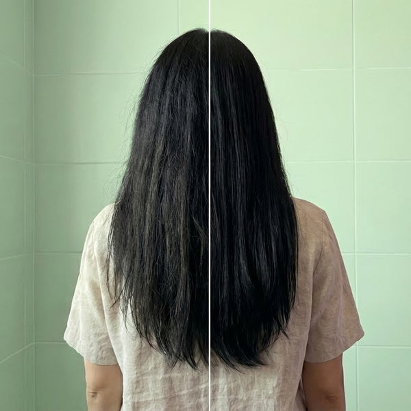 SHAMPOO DE ALOE VERA VIAJERO 100 ml