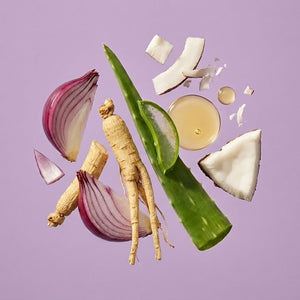 Shampoo Antigrasa y Anticaída con Cebolla y Cannabis Viajero