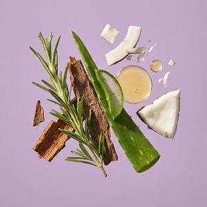 SHAMPOO DE ROMERO Y QUINA 500ml