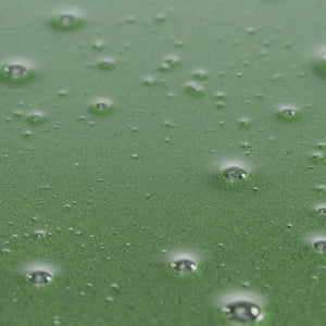 Shampoo Anticaída para Hombre con Aguacate y CBD