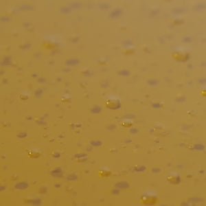 Shampoo Iluminador y Aclarante con Manzanilla y Miel