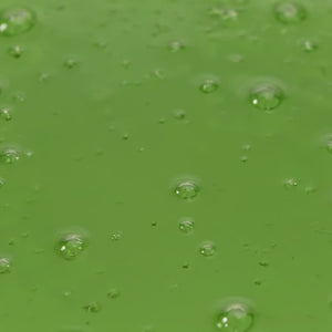 Moisturizing and Protective Shampoo with Aloe Vera